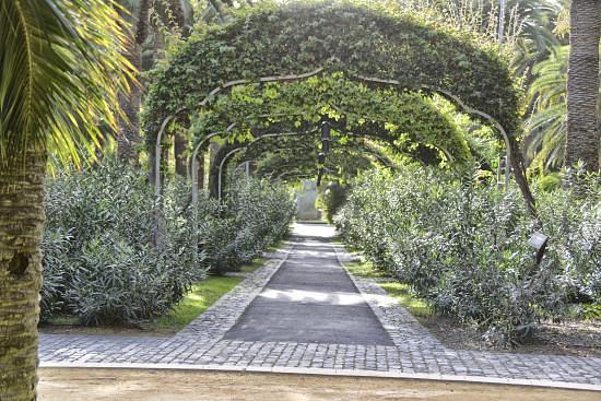 Botanical Gardens (Jardin Botanico)