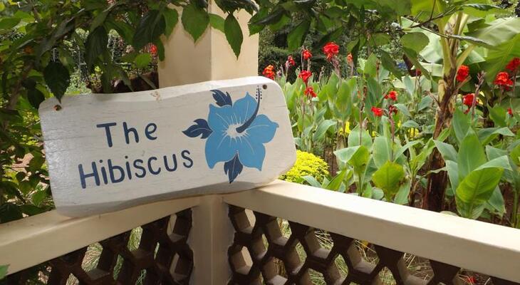 The Hibiscus