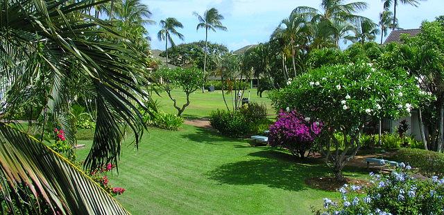 Pua Mau Place Arboretum & Botanical Garden
