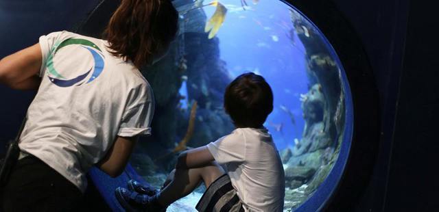 National Marine Aquarium