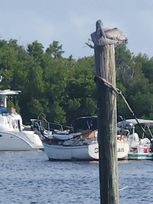 Bokeelia Tarpon Inn