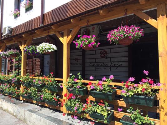 Bosanska Ruza
