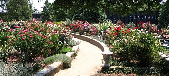 McGill Rose Garden