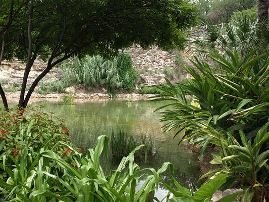 Brackenridge Park