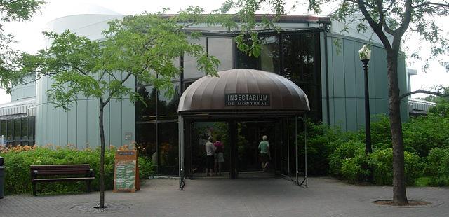 Insectarium de Montreal