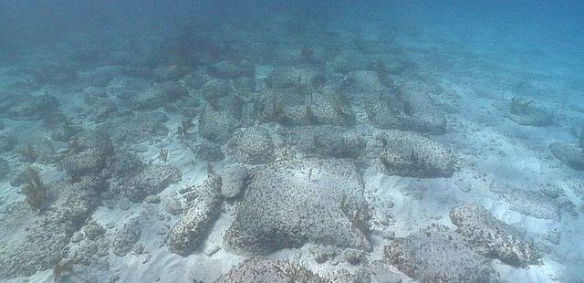 Bimini Wall