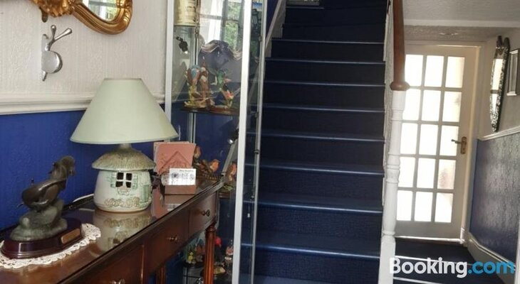 Blue Dolphin House B&B