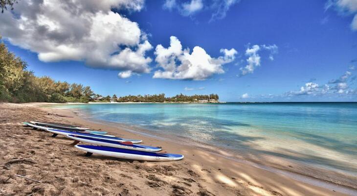 Turtle Bay Resort