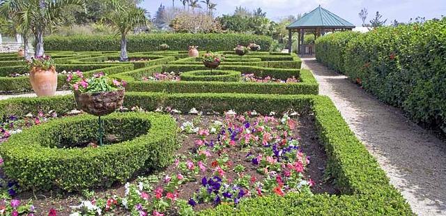 Bermuda Botanical Gardens