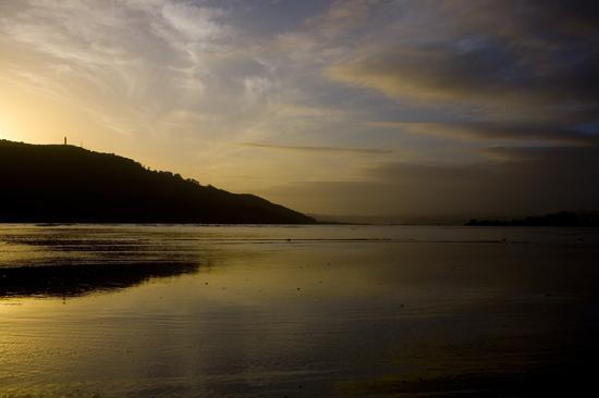 The Milkwood Collection