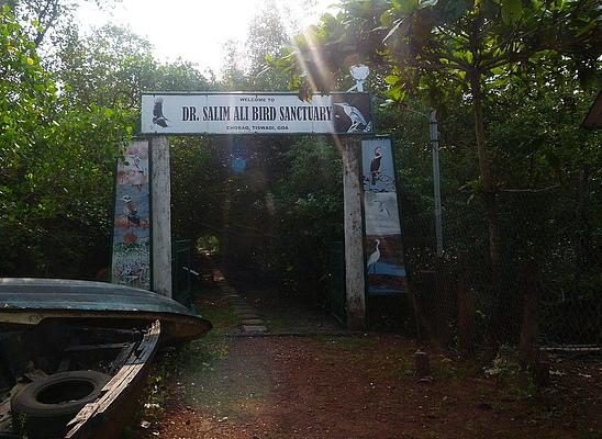 Dr. Salim Ali Bird Sanctuary