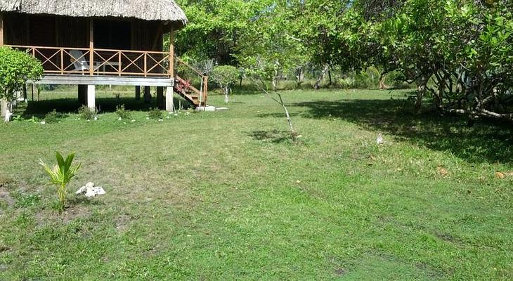 Nature Resort