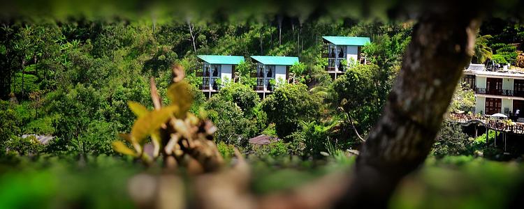 Ella Flower Garden Resort