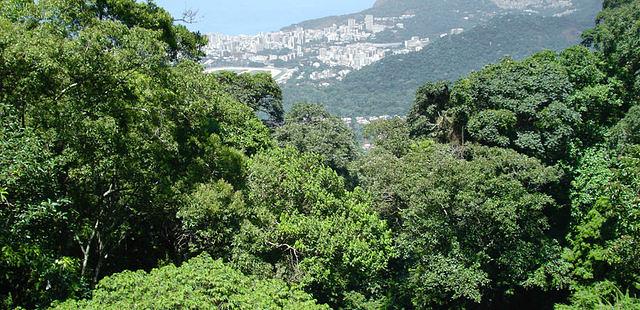 Parque Nacional da Tijuca