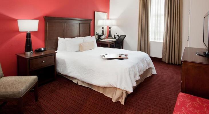 Hampton Inn & Suites Atlanta-Downtown