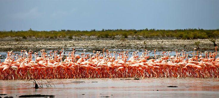 Inagua National Park