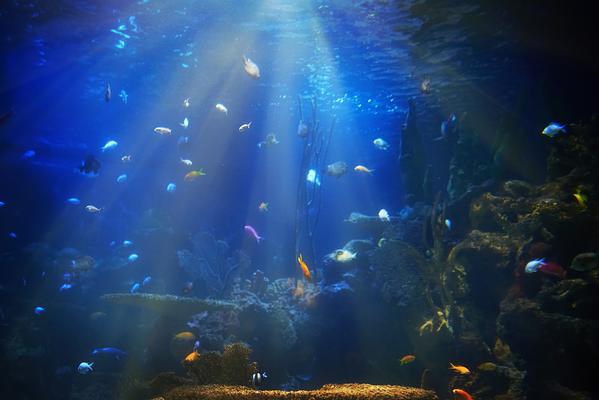 Vancouver Aquarium