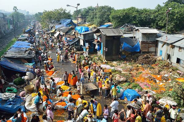Malik Ghat Flower Market
