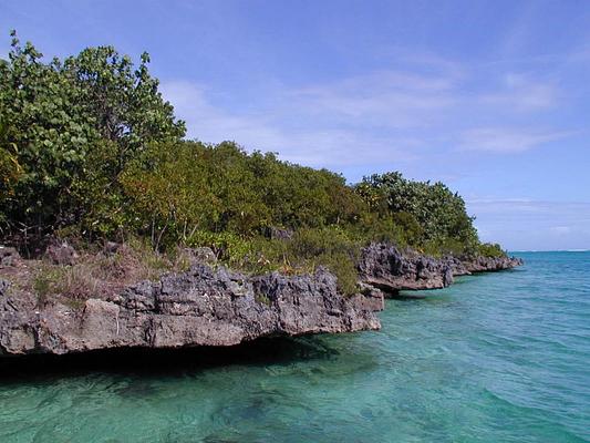 Ile aux Aigrettes Nature Reserve