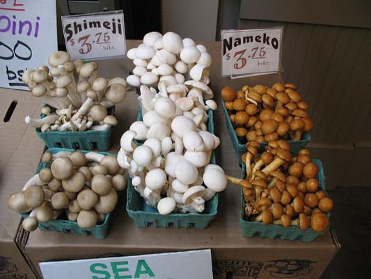 Ferry Building Marketplace