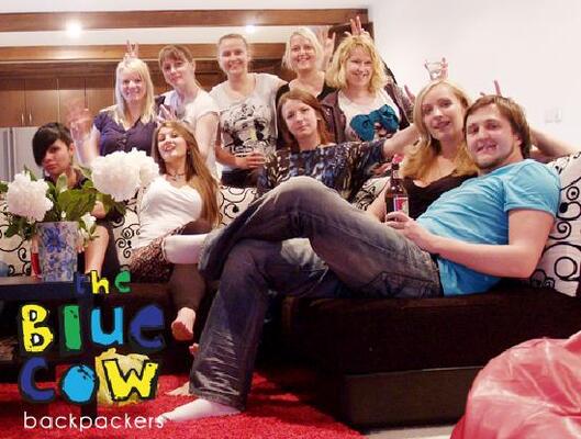 Blue Cow Hostel
