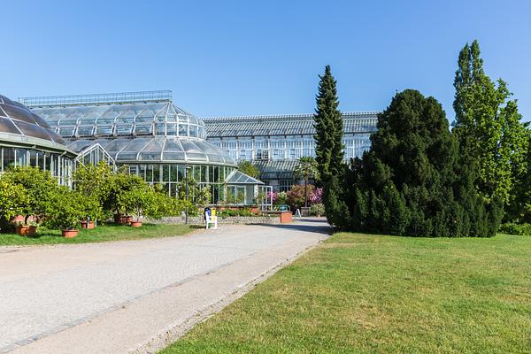 Botanischen Gartens und Botanischen Museums Berlin