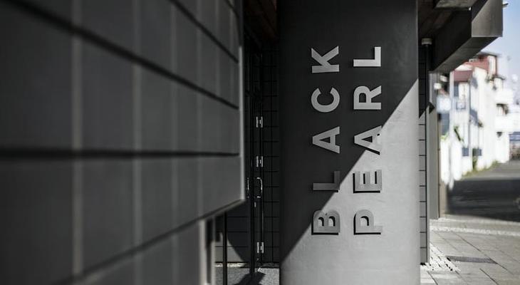 Black Pearl - Reykjavik Finest Apartments