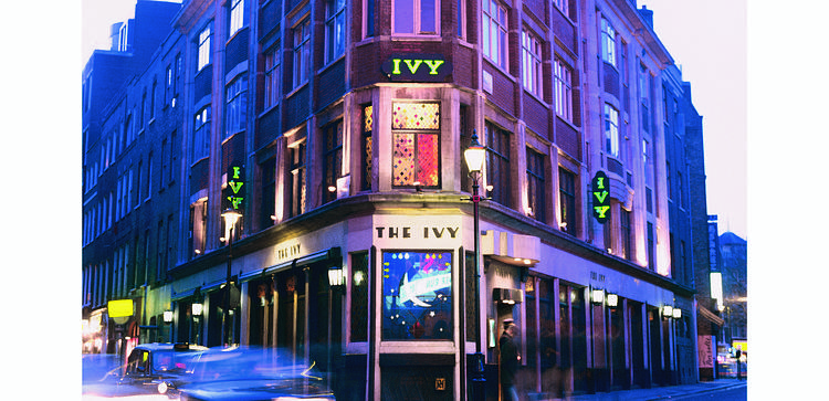 The Ivy