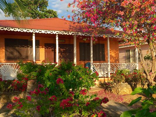 Little Bay Cabins