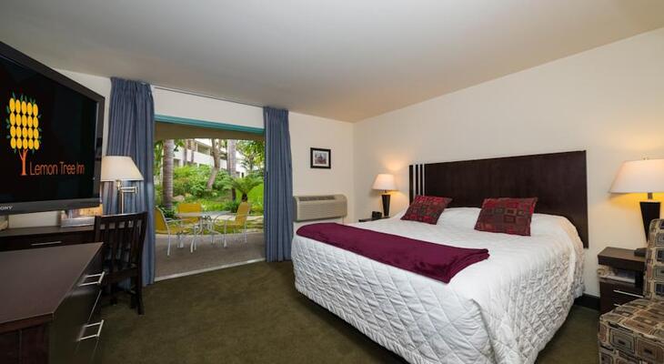 Lemon Tree Inn