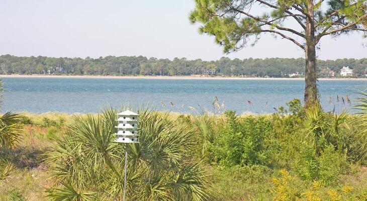 The Sea Pines Resort