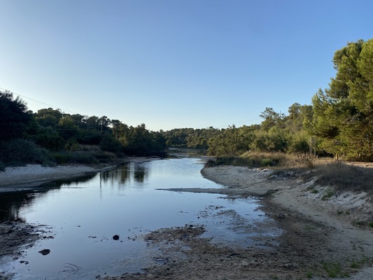Cala Mondrago