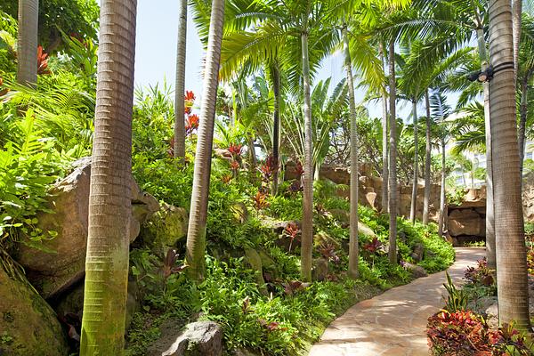 The Westin Maui Resort & Spa Ka'anapali