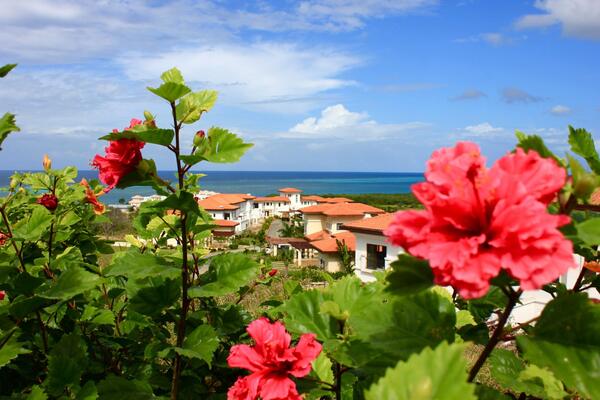 Pristine Bay Resort
