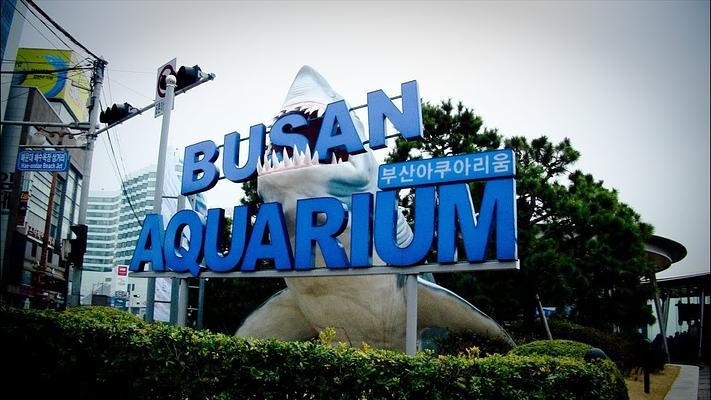 SEA LIFE Busan Aquarium