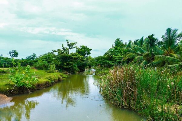 Yala Peace Cottages