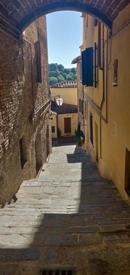 Orto Botanico di Siena