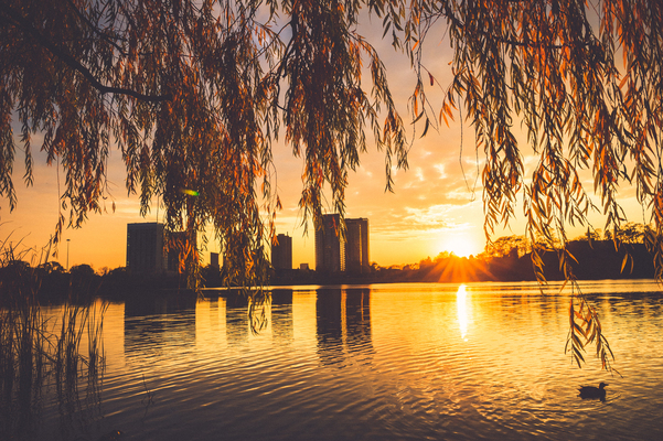 High Park