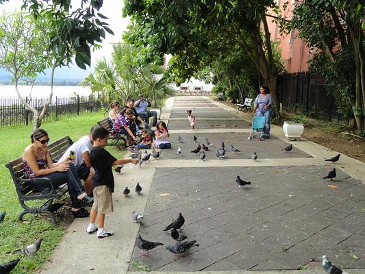 Parque de las Palomas