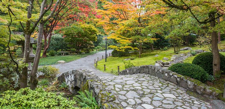 Washington Park Arboretum