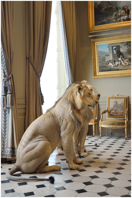 Musee de la Chasse et de la Nature