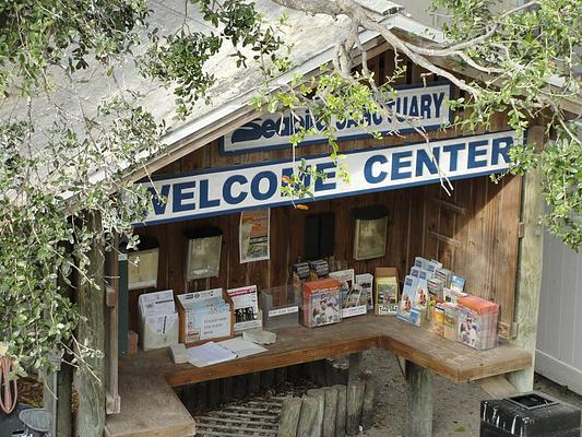 Seaside Seabird Sanctuary