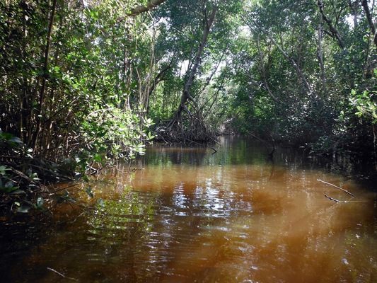 99 Mile Wilderness Waterway