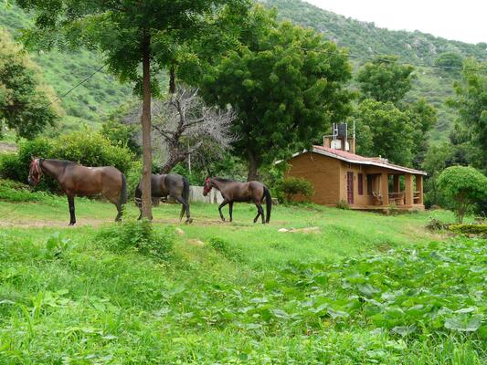 Krishna Ranch