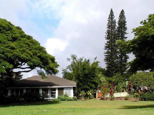 Banyan Bed And Breakfast Retreat