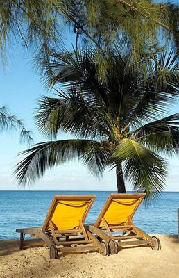 Starfish Discovery Bay