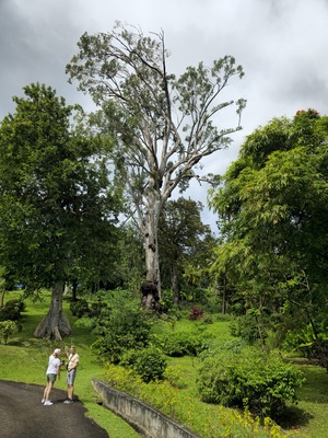 Botanical Gardens