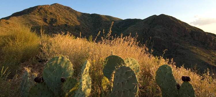 Franklin Mountains State Park