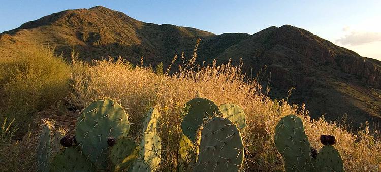 Franklin Mountains State Park