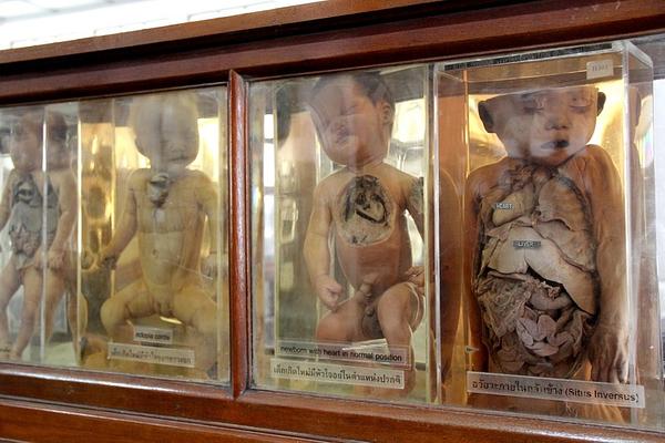 Siriraj Medical Museum